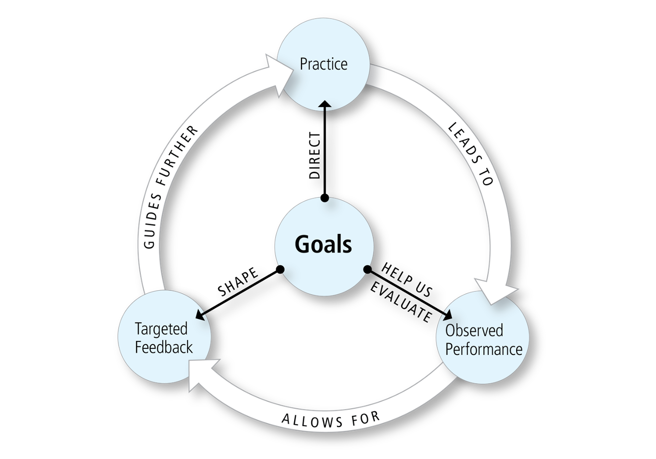Cycle of goal-directed practice and feedback. Reference description above.